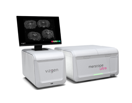 MERSCOPE 大視野超高分辨單細胞原位空間組學分析系統(tǒng)